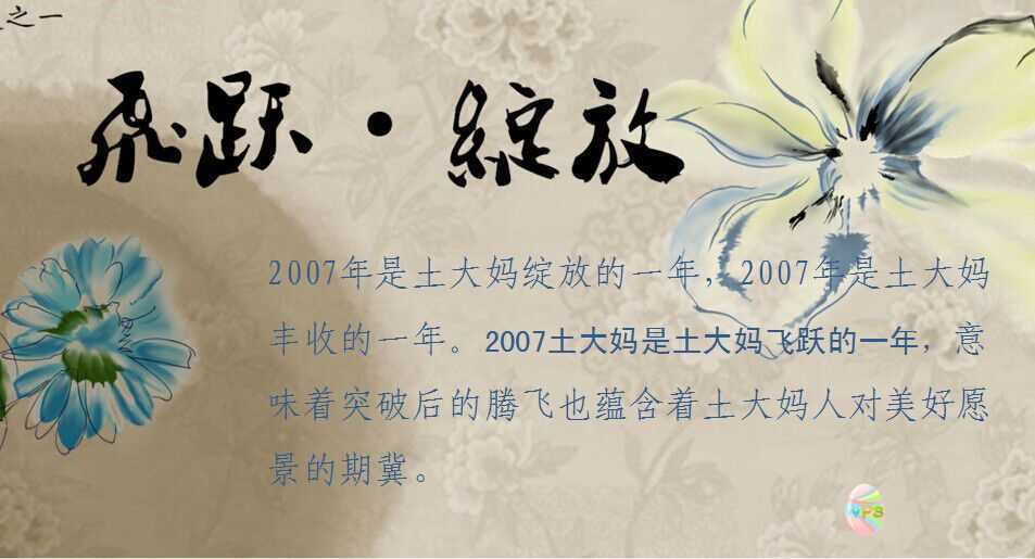雞蛋品牌土大媽的企業發展史