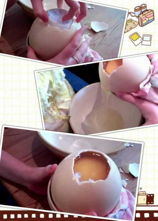 取出鴕鳥蛋蛋液