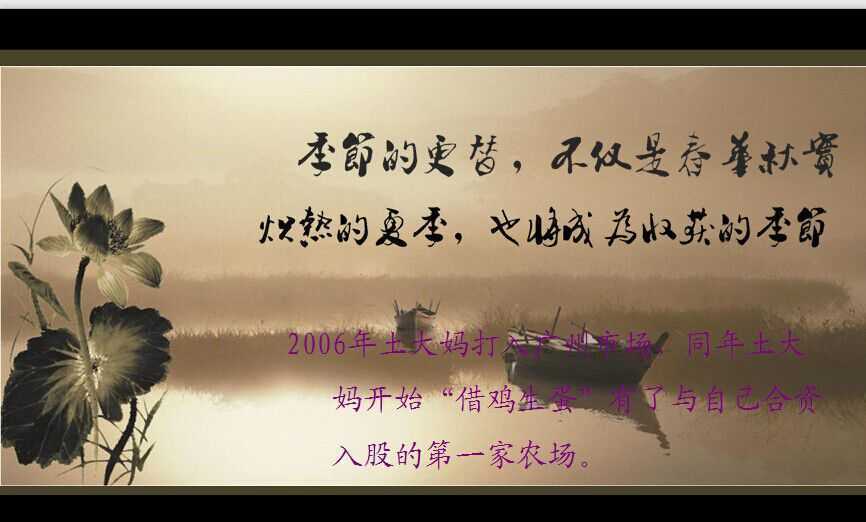 雞蛋品牌土大媽的企業發展史