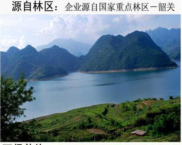 鴯鹋蛋