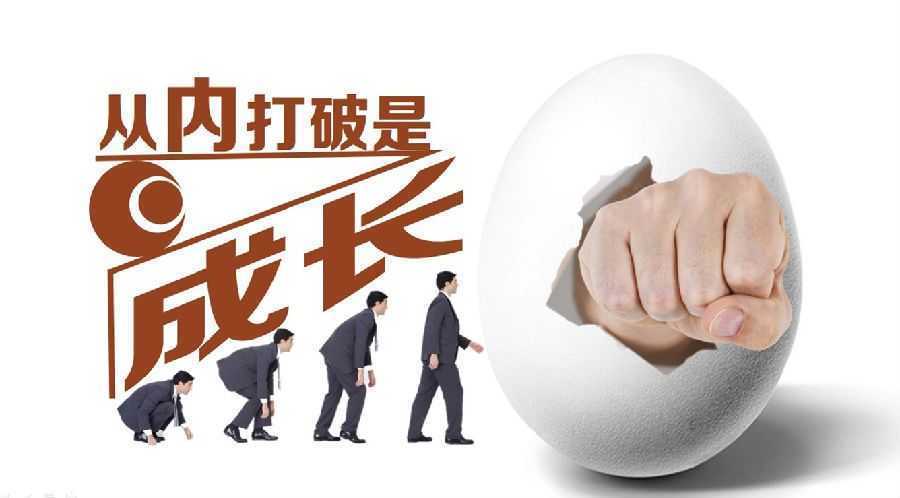 廣州哪里有初生蛋批發