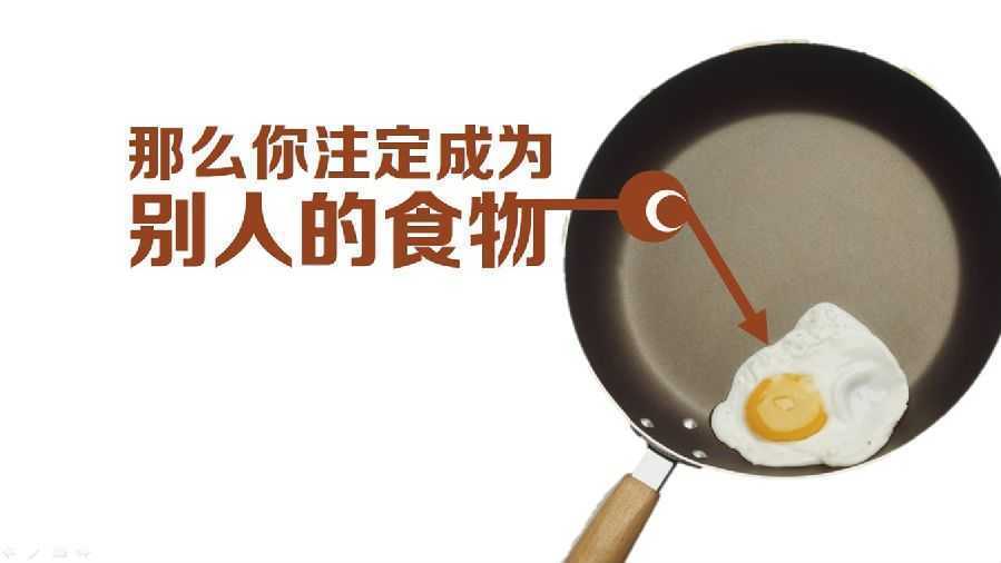 廣州哪里有初生蛋批發