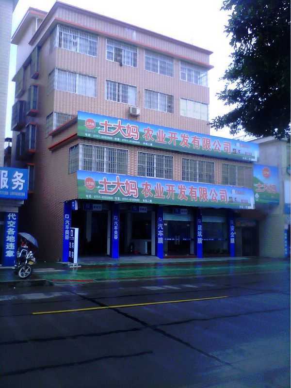 福建笨雞蛋,土大媽