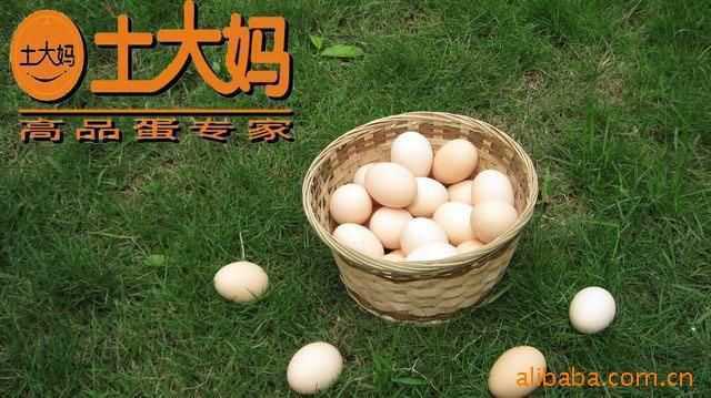初生雞蛋,土大媽