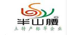 土大媽成就了半山腰的事業