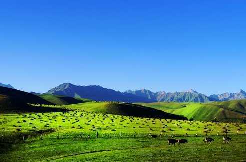 土地依米提成為土大媽代理商