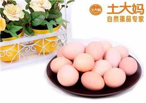 韶關雞蛋批發市場