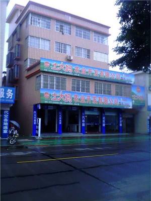 福建笨雞蛋,土大媽