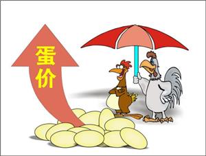 廣州雞蛋批發價格