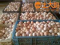 寧波國際外貿經理曾先生成為土大媽代理商