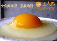 雞蛋供應商土大媽公司率先實行“團契經營”