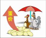 關于蛋品價格問題