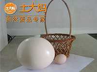 土大媽駝鳥蛋（山姆主銷）