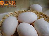 正宗農家風味特大雙黃咸蛋