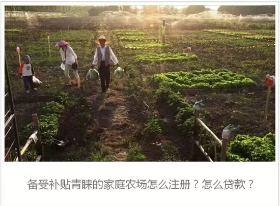 <a href='' class='keys' title='點擊查看關于廣東雞蛋養殖場的相關信息' target='_blank'>廣東雞蛋養殖場</a>