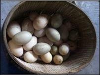土大媽鴨蛋