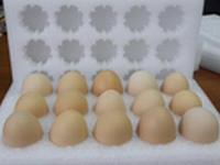 土大媽珍珠棉裝雞蛋