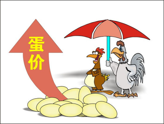 廣州雞蛋批發價格