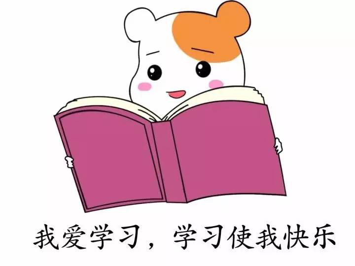 笨雞蛋和普通雞蛋的區別