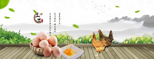 土大媽蛋品公司誠摯攜手深土牌茶葉.jpg