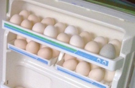 雞蛋保存.jpg